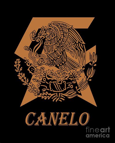 canelo dg logo|canelo bear logo.